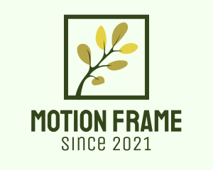 Tree Branch Frame logo design