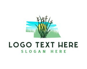 Flora - Little Bluestem Nebraska logo design