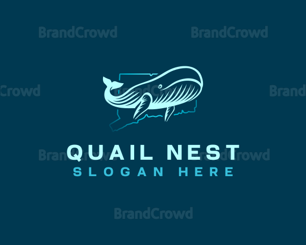 Ocean Whale Connecticut Logo