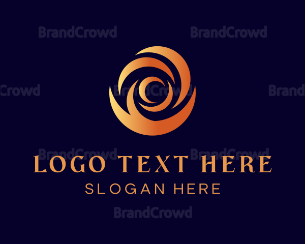 Creative Swirl Flame Logo