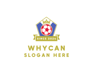 Club - Sport Soccer Ball logo design