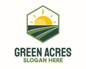 Grassland - Sunny Field Hexagon Badge logo design