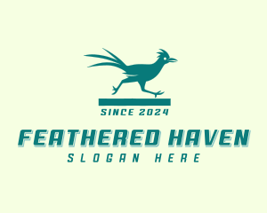 Birdwatching - Bird Roadrunner Avian logo design