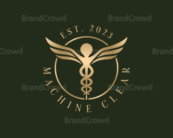 Medical Healthcare Caduceus Logo