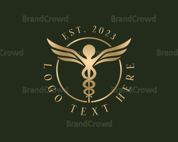 Medical Healthcare Caduceus Logo