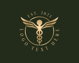 Medical Healthcare Caduceus Logo