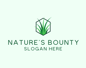 Natural Grass Care logo design