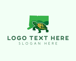 Map - Connecticut Turtle Reptile logo design