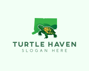 Connecticut Turtle Reptile logo design