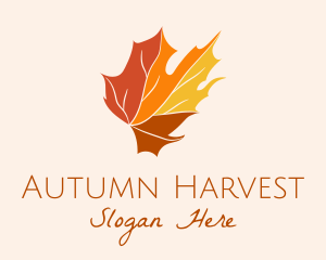 Fall Maple Leaf logo design