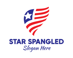 Simple American Flag  logo design