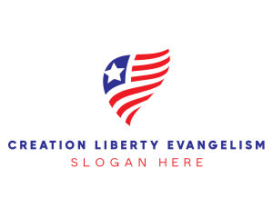 Simple American Flag  logo design