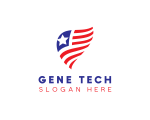 Simple American Flag  logo design