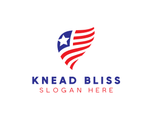 Simple American Flag  logo design