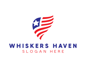 Simple American Flag  logo design