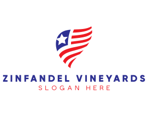 Simple American Flag  logo design