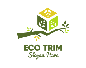 Eco Branch Box logo design