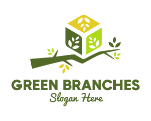 Eco Branch Box logo design