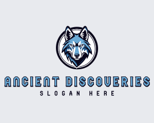 Sports Team Wolf logo design