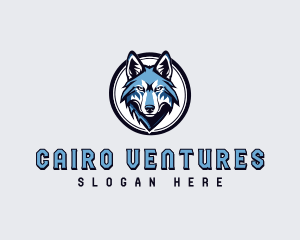 Sports Team Wolf logo design