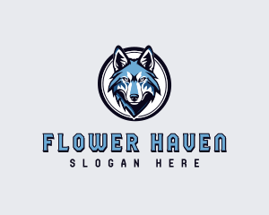 Sports Team Wolf logo design