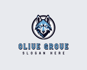 Sports Team Wolf logo design