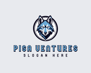 Sports Team Wolf logo design