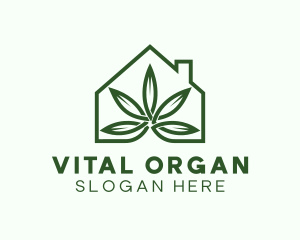 Organic House Plant logo design