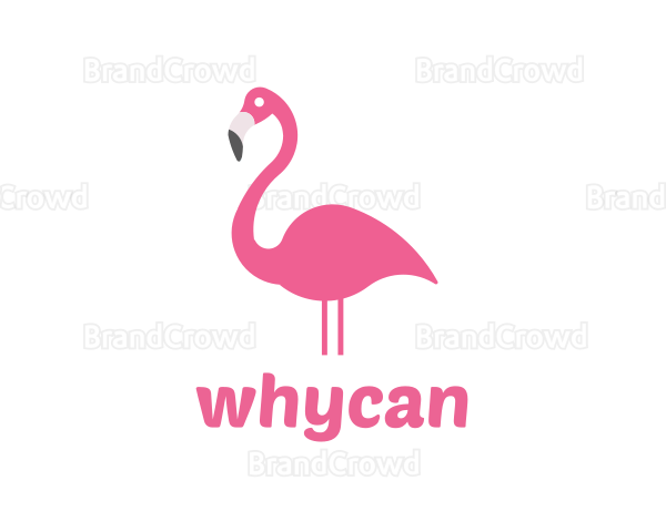 Flamingo Bird Animal Logo