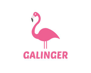 Flamingo Bird Animal Logo