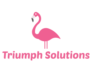 Flamingo Bird Animal Logo