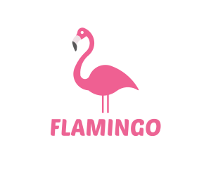 Flamingo Bird Animal logo design