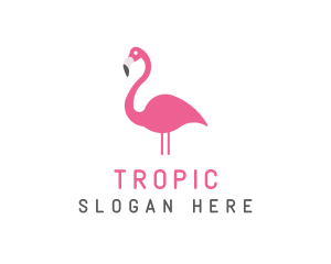 Flamingo Bird Animal logo design