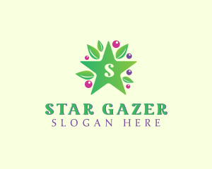 Nature Star Berry logo design