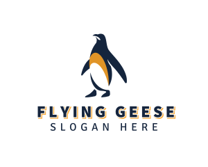 Penguin Bird Animal logo design