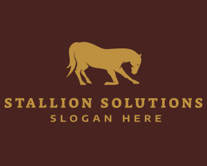 Stallion - Gold Stallion Horse logo design