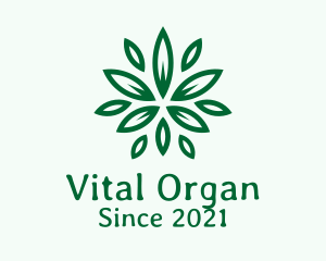 Organic Herbal Garden logo design