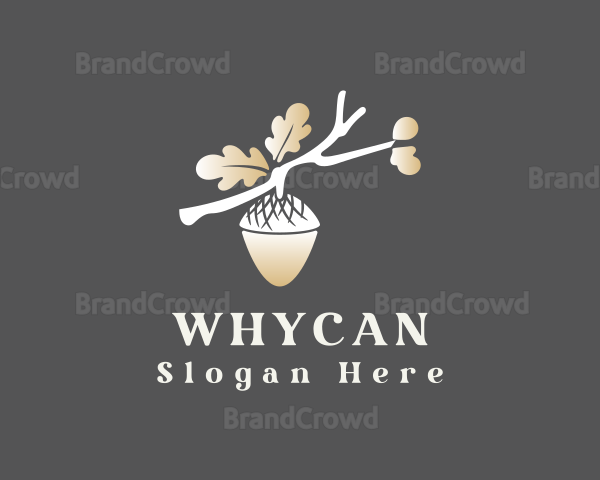 Elegant Oak Acorn branch Logo