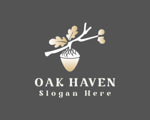 Oak - Elegant Oak Acorn branch logo design