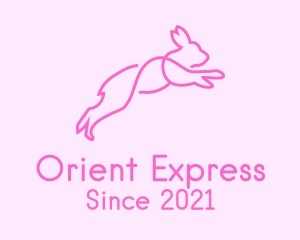 Pink Bunny Rabbit logo design