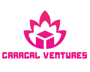 Pink Lotus Cube logo design