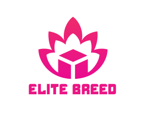 Pink Lotus Cube logo design