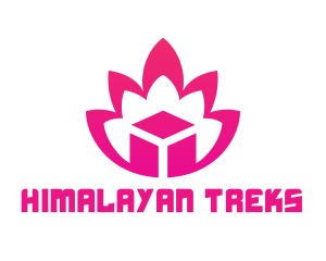 Pink Lotus Cube logo design