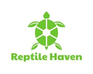 Green Leaf Turtle logo design