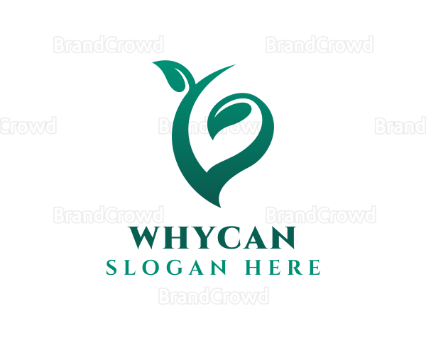 Natural Organic Leaf Logo