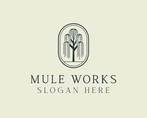 Willow Tree Orchard logo design