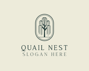 Willow Tree Orchard logo design