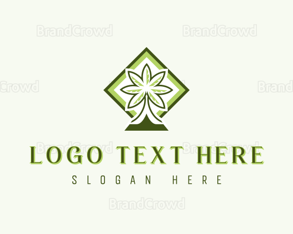 Tropical Coconut Tree Logo