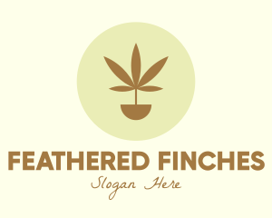 Cannabis Marijuana Plant logo design