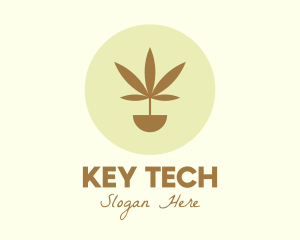 Cannabis Marijuana Plant logo design